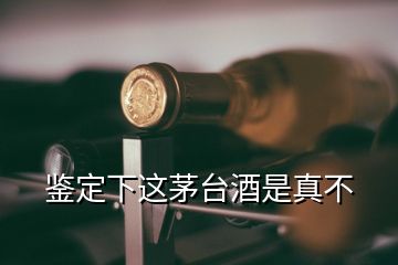 鉴定下这茅台酒是真不