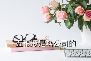 五粮液是啥公司的