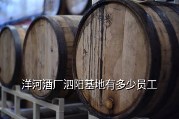 洋河酒厂泗阳基地有多少员工
