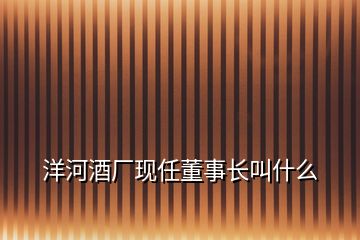 洋河酒厂现任董事长叫什么