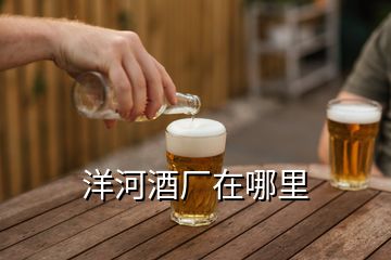 洋河酒厂在哪里