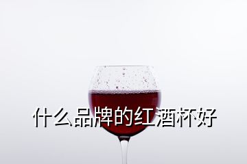 什么品牌的红酒杯好