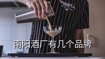 南阳酒厂有几个品牌