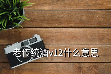 老传统酒v12什么意思