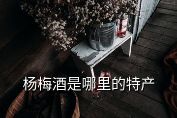 杨梅酒是哪里的特产