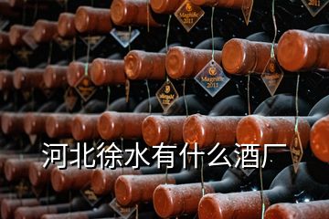 河北徐水有什么酒厂