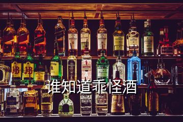 谁知道乖怪酒