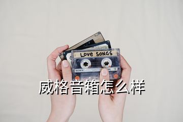 威格音箱怎么样