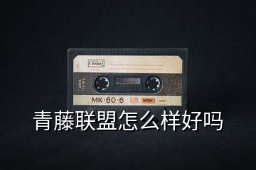青藤联盟怎么样好吗
