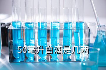 50毫升白酒是几两