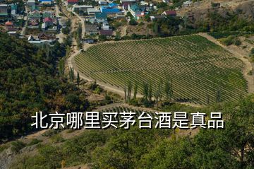 北京哪里买茅台酒是真品