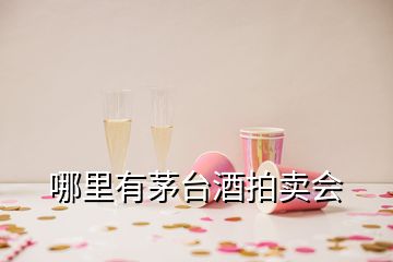 哪里有茅台酒拍卖会