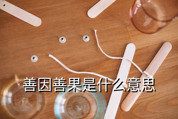 善因善果是什么意思