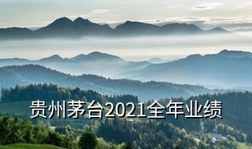 贵州茅台2021全年业绩