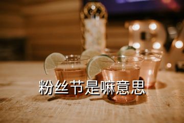 粉丝节是嘛意思