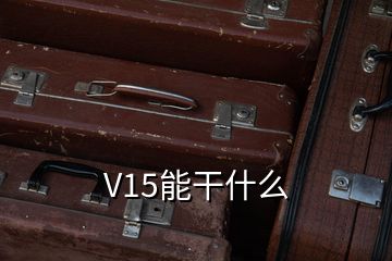 V15能干什么