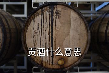 贡酒什么意思