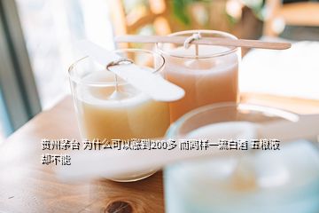 贵州茅台 为什么可以涨到200多 而同样一流白酒 五粮液 却不能