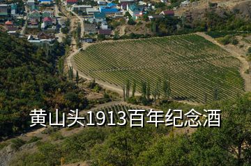 黄山头1913百年纪念酒