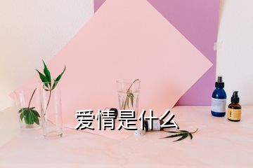 爱情是什么