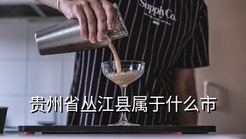 贵州省丛江县属于什么市