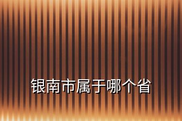 银南市属于哪个省