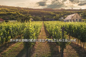 贵州茅台酒糟封藏酒52度生产地址怎么标注是山东呢