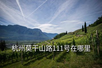 杭州莫干山路111号在哪里