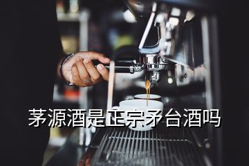 茅源酒是正宗矛台酒吗