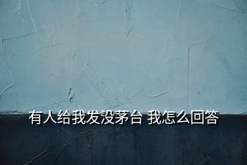 有人给我发没茅台 我怎么回答