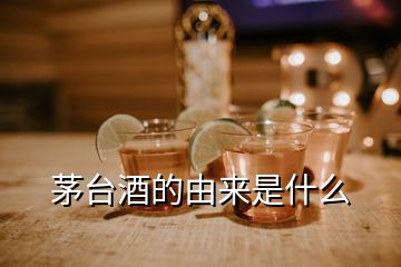 茅台酒的由来是什么