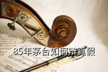 85年茅台如何辩真假