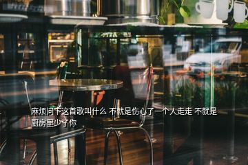 麻烦问下这首歌叫什么 不就是伤心了一个人走走 不就是厨房里少了你