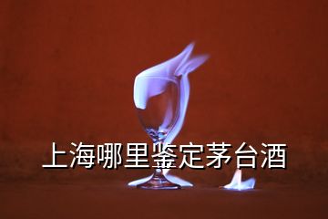 上海哪里鉴定茅台酒