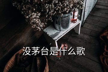 没茅台是什么歌