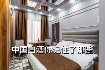 中国白酒你记住了那些