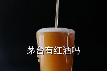 茅台有红酒吗