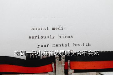 捡到一只小麻雀总是睡觉会不会死