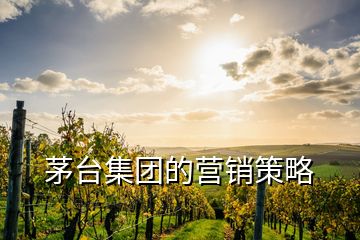 茅台集团的营销策略