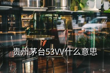 贵州茅台53VV什么意思