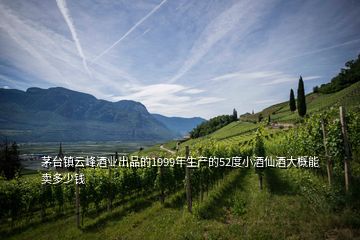茅台镇云峰酒业出品的1999年生产的52度小酒仙酒大概能卖多少钱