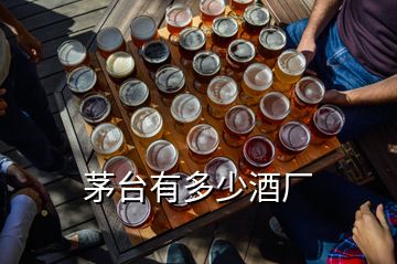 茅台有多少酒厂