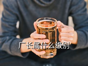 厂长属什么级别