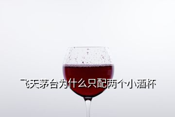 飞天茅台为什么只配两个小酒杯