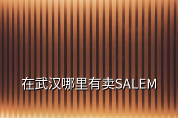 在武汉哪里有卖SALEM