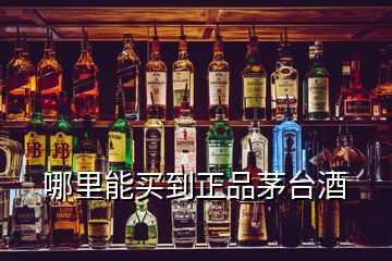 哪里能买到正品茅台酒