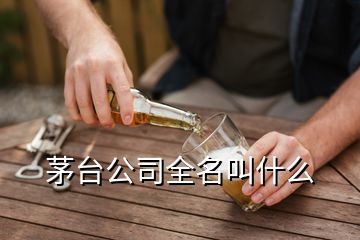 茅台公司全名叫什么