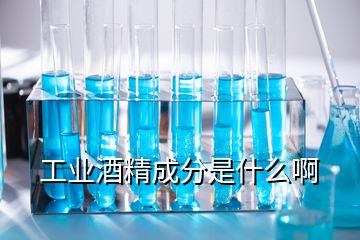 工业酒精成分是什么啊