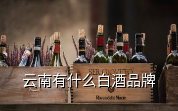 云南有什么白酒品牌