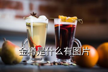 金樽是什么有图片